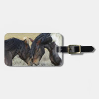 Two Brown Wild Horses Nuzzling