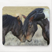 Two Brown Wild Horses Nuzzling