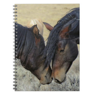 Two Brown Wild Horses Nuzzling Notebook