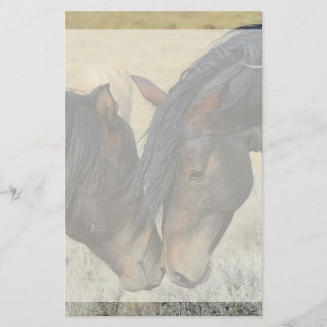 Two Brown Wild Horses Nuzzling Stationery (Front)