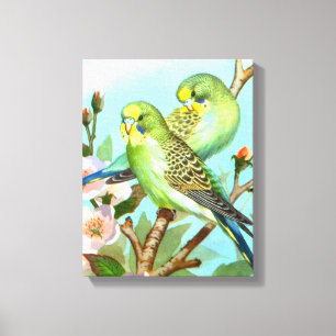 Two budgerigars bird canvas print
