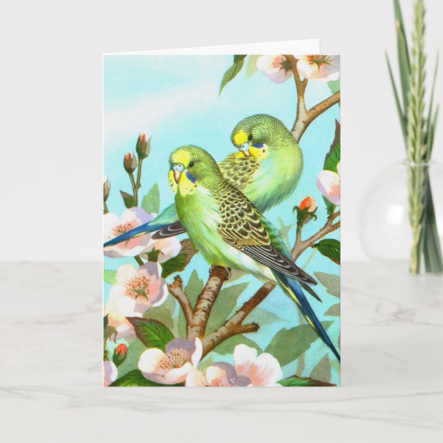 Two budgerigars holiday card (Front)