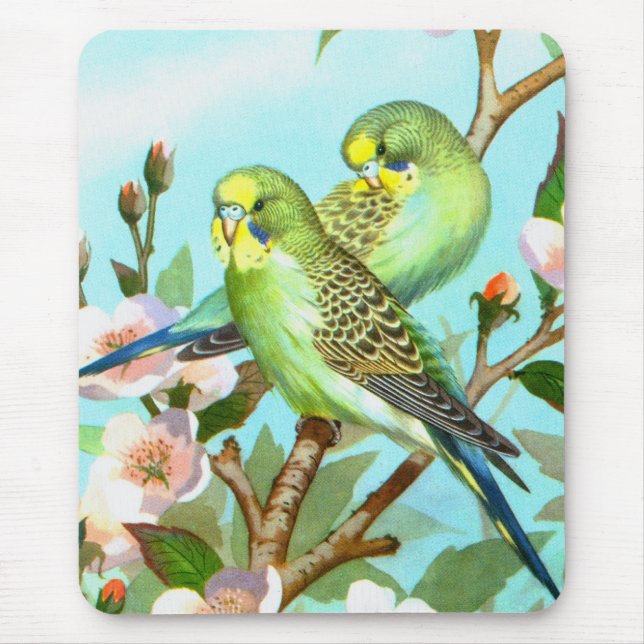 Two budgerigars mouse mat (Front)