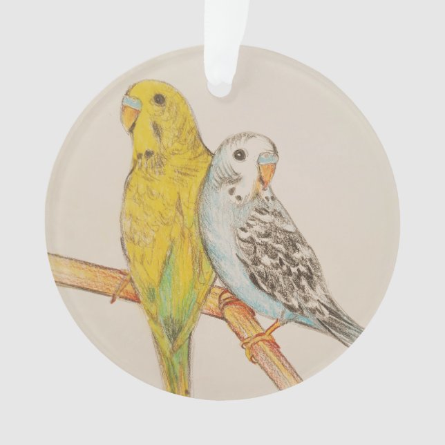 TWO BUDGIES BIRD HAND DRAWING COLORED PENCILS ORNAMENT (Front)
