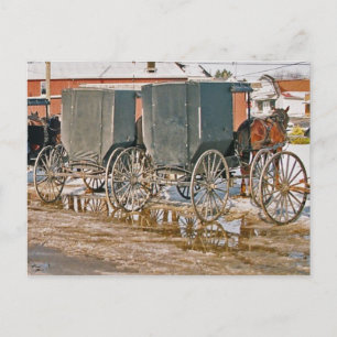 Two Buggies In Puddle Postcard