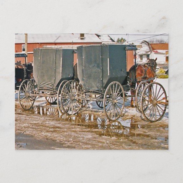 Two Buggies In Puddle Postcard (Front)
