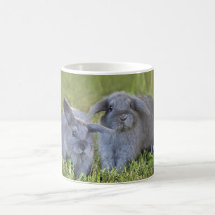 Two bunnies mug