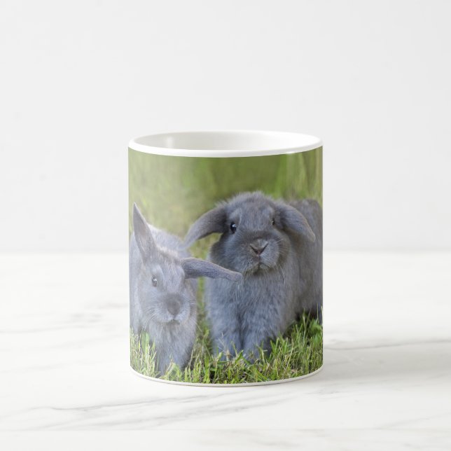 Two bunnies mug (Center)