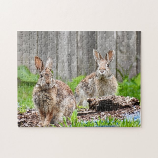 Two Bunny Rabbits Jigsaw Puzzle (Horizontal)