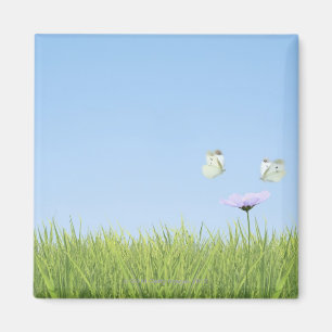 Two butterflies hovering over flower magnet