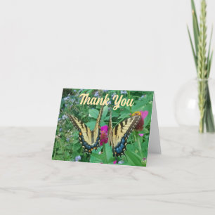 Two Butterflies Sharing a Pink Zinnia Thank You Card