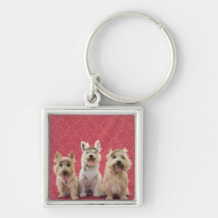 Two cairin terriers and one westie key ring