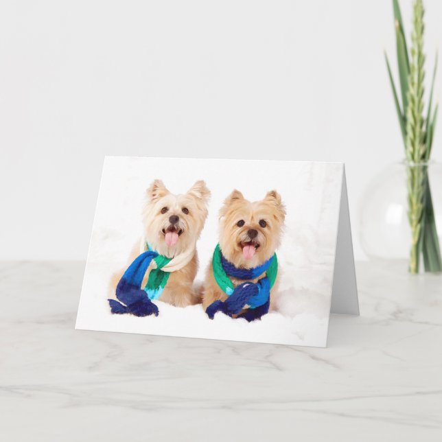 Two Cairn Terriers Christmas Card (Front)