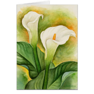 Two Cala Lilies Watercolor Art - Multi