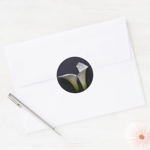 Two calla lilies on black classic round sticker