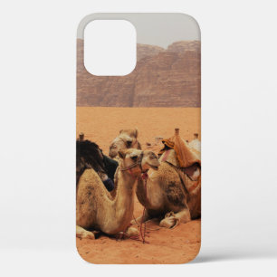TWO CAMEL SITTING ON BROWN SAND NEAR MOUTAINS iPhone 12 CASE