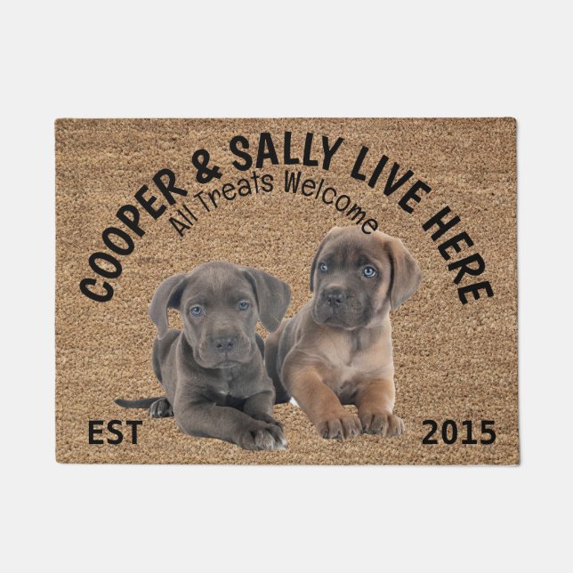 Two Cane Corso Personalised Dog Lover   Doormat (Front)