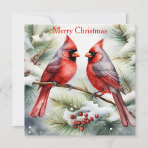 Two Cardinals Holiday Card
