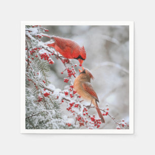 Two Cardinals with Red Berries in Winter Napkin