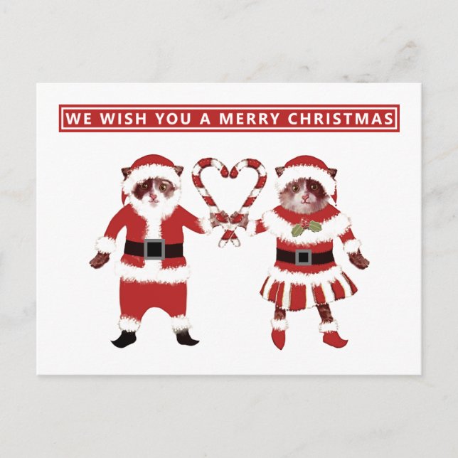 Two Cats Christmas Holiday Postcards (Front)