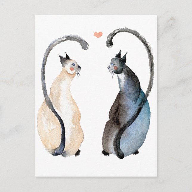 Two Cats in Love Postcard (Front)