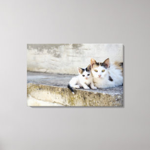 Two cats on stone steps canvas print