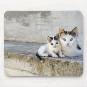 Two cats on stone steps mouse mat