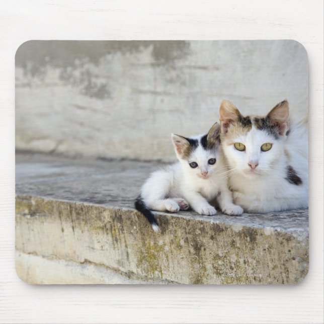 Two cats on stone steps mouse mat (Front)