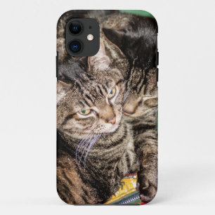 Two Cats Snuggling iPhone 11 Case
