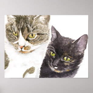 Two cats - tabby and tortie poster