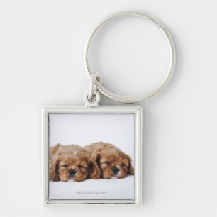 Two Cavalier King Charles Spaniel puppies Key Ring