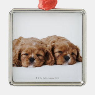 Two Cavalier King Charles Spaniel puppies Metal Tree Decoration
