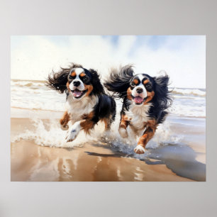 Two Cavalier King Charles Spaniels Poster