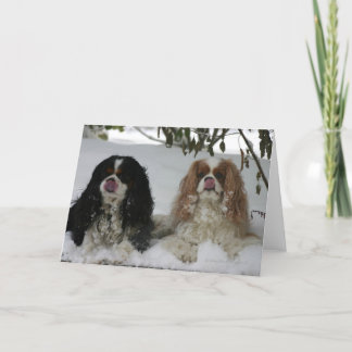 Two Cavaliers in the Snow 08-01a Card