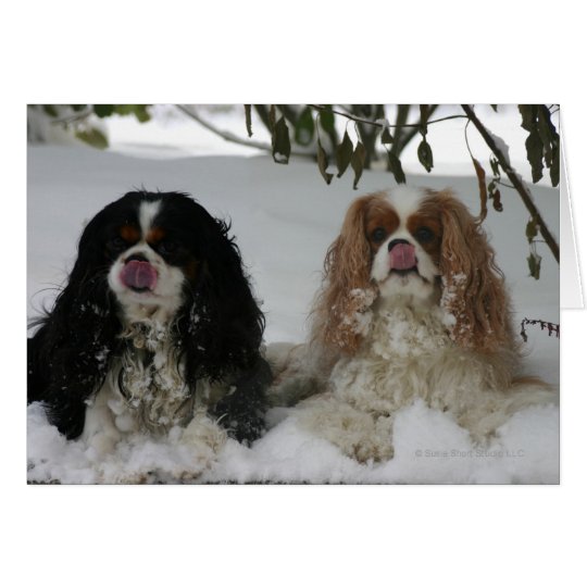 Two Cavaliers in the Snow 08-01a Card