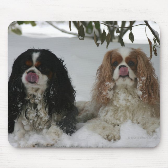 Two Cavaliers Mousepad (Front)