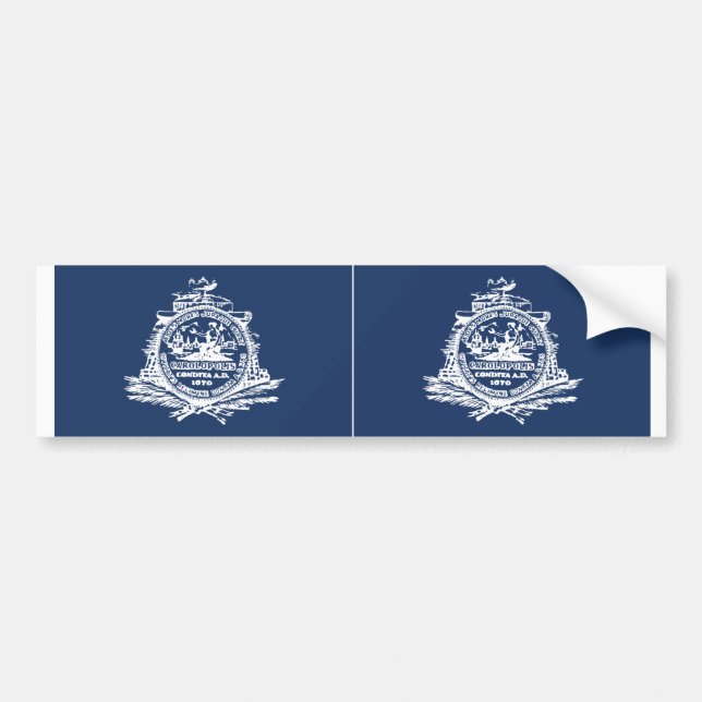 TWO Charleston, SC Flag Bumper Sticker (Front)
