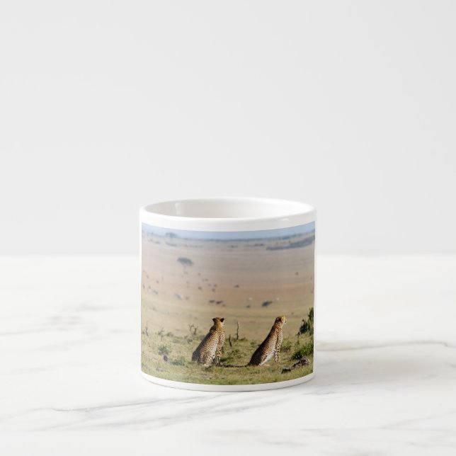 Two cheetahs on the look out espresso cup (Front)