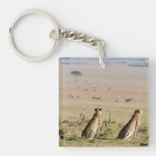 Two cheetahs on the look out key ring