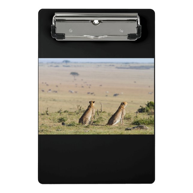 Two cheetahs on the look out mini clipboard (Front)