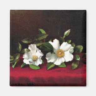 Two Cherokee Roses on Red Velvet, Magnet