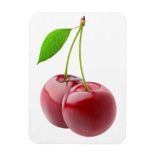 Two cherries magnet