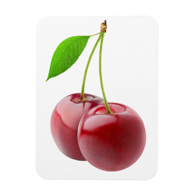 Two cherries magnet (Vertical)