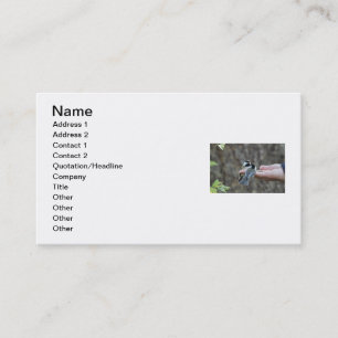 Two Chickadees on a Hand Business Card