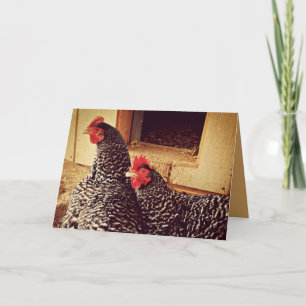 Two Chickens Cuddling Card