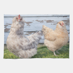 Two Chickens Farmhouse Kitchen Towel Decor