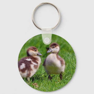 Two chicks of Egyptian Geese Key Ring