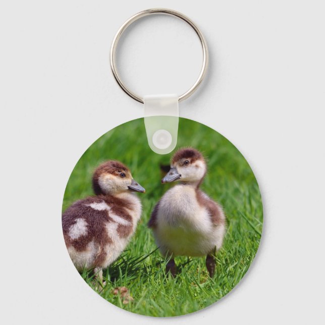 Two chicks of Egyptian Geese Key Ring (Front)