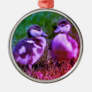 Two chicks of Egyptian Geese Metal Tree Decoration