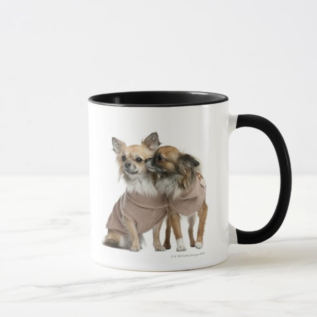 Two Chihuahuas dressed (2 years old) Mug (Right)